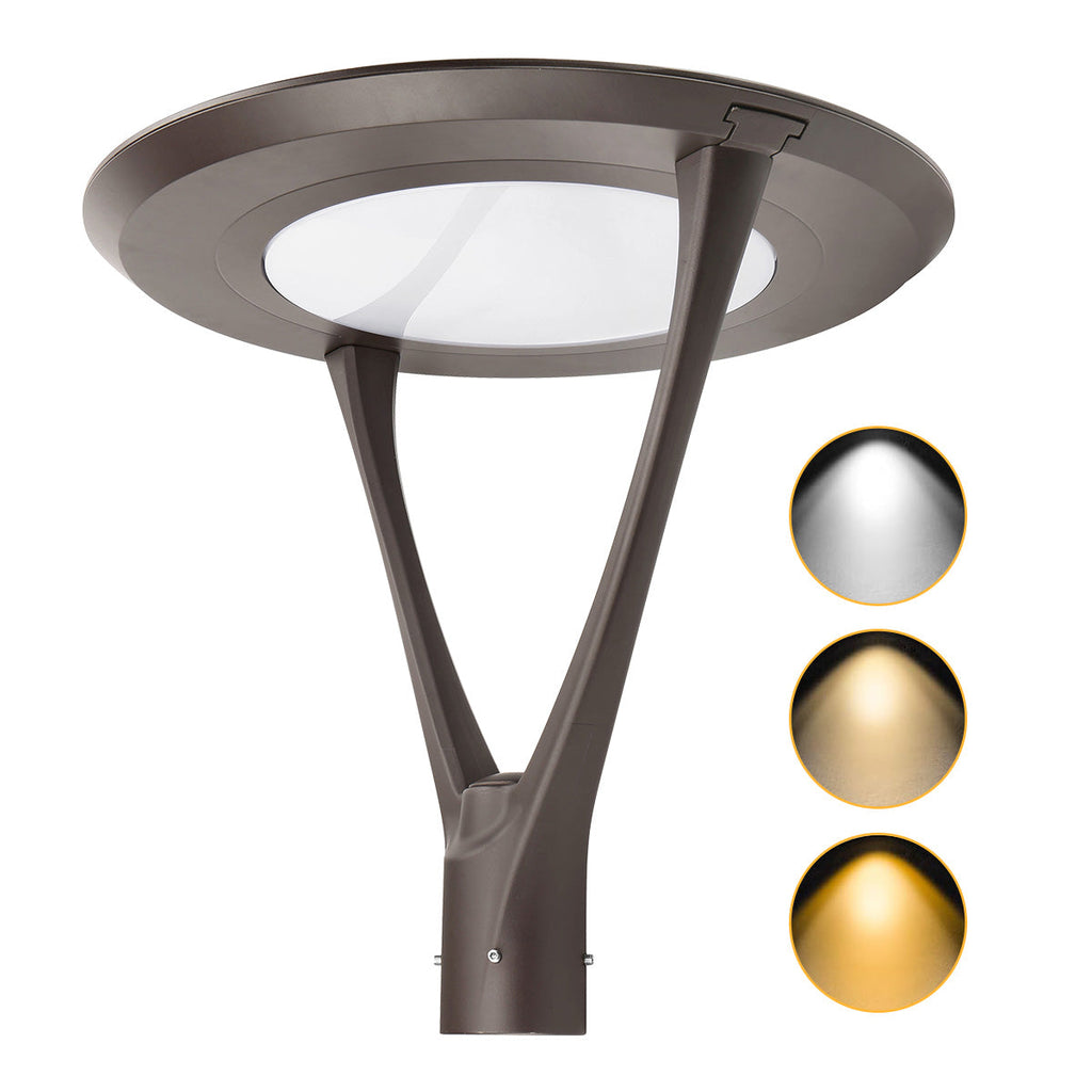 LED Post Top Light