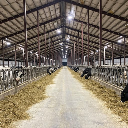 Barn Lighting