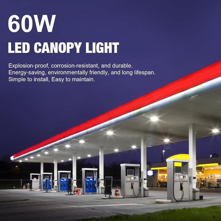 40W/60W LED Canopy Lights - JC - LGL